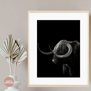 nordic-black-bull-art-print