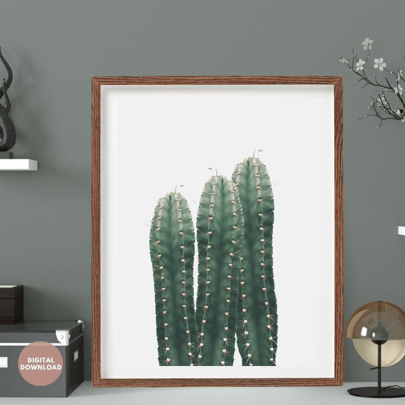 nordic-cactus-art-print